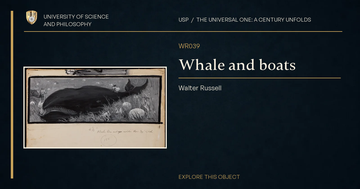 Whale and boats