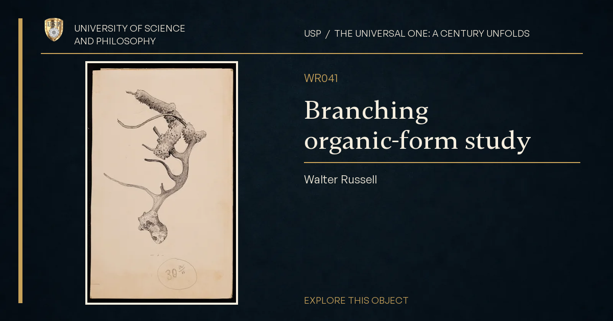 Branching organic-form study