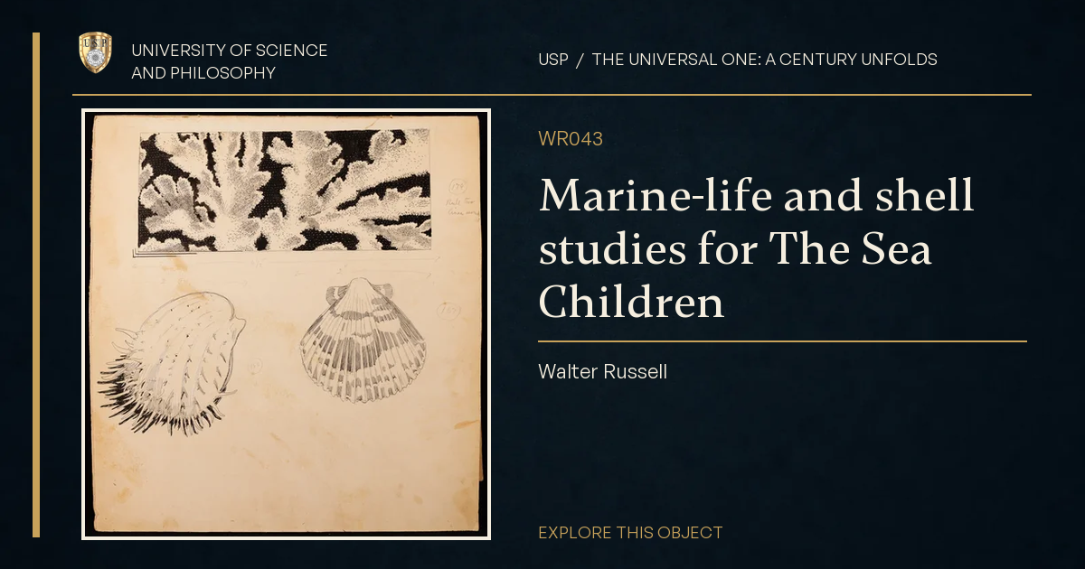 Marine-life and shell studies for The Sea Children