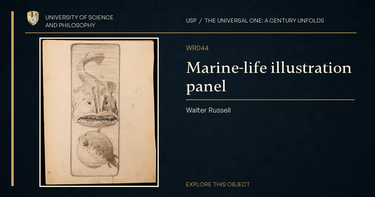 Marine-life illustration panel