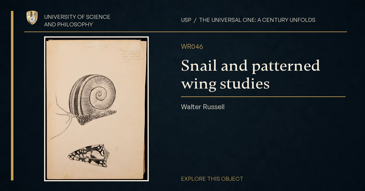 Snail and patterned wing studies