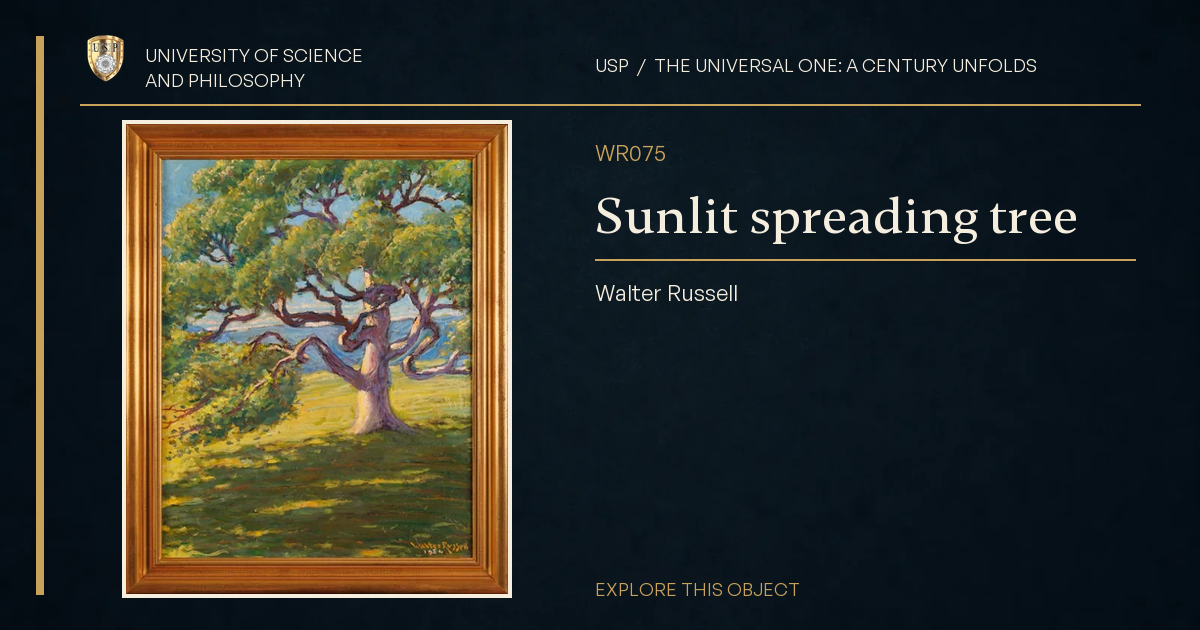 Sunlit spreading tree
