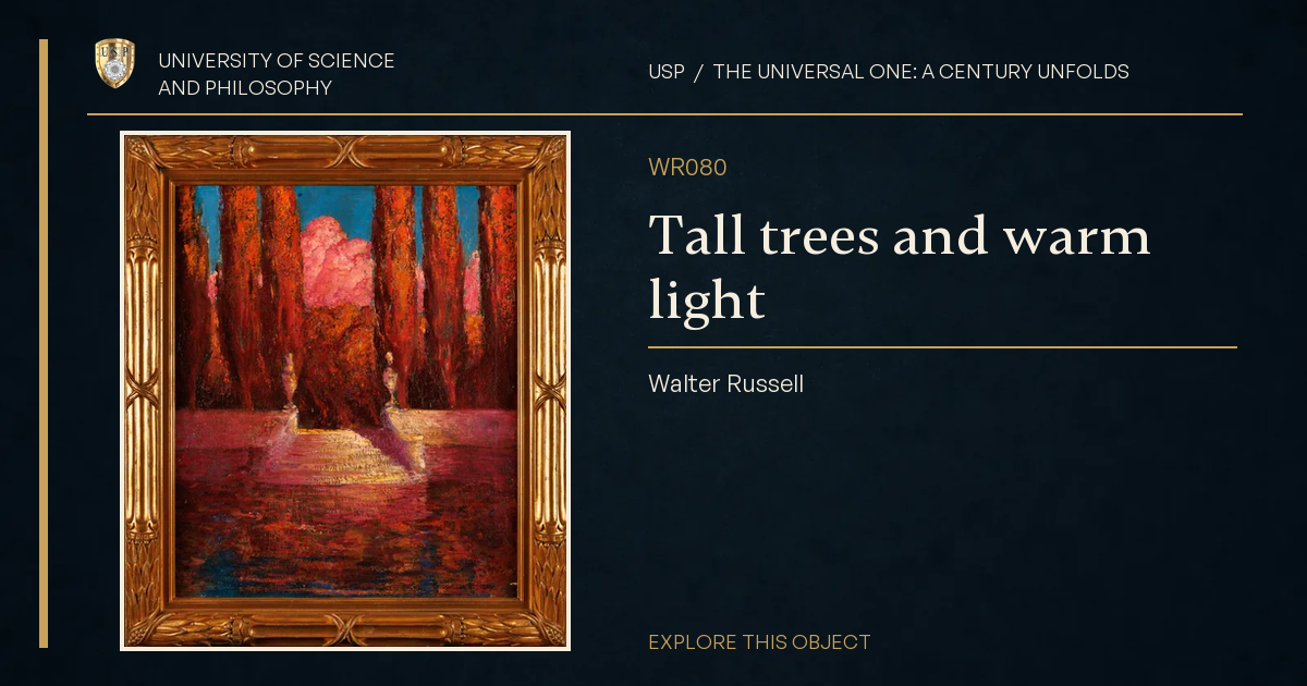 Tall trees and warm light