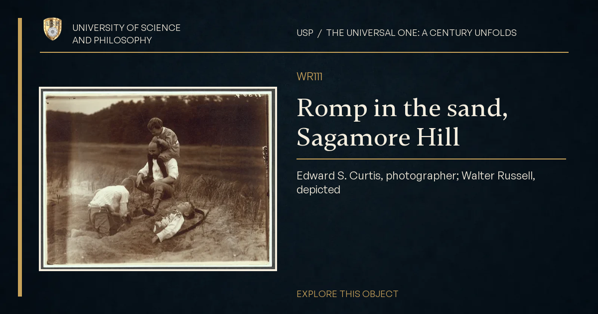 Romp in the sand, Sagamore Hill